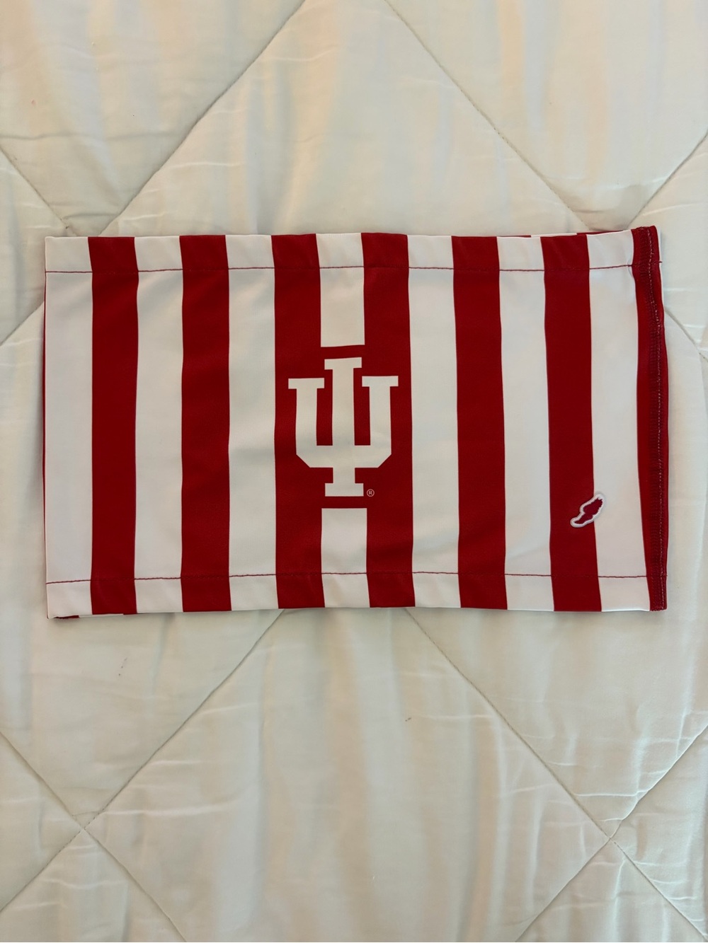 IU Red & White Striped Crop Tube Top